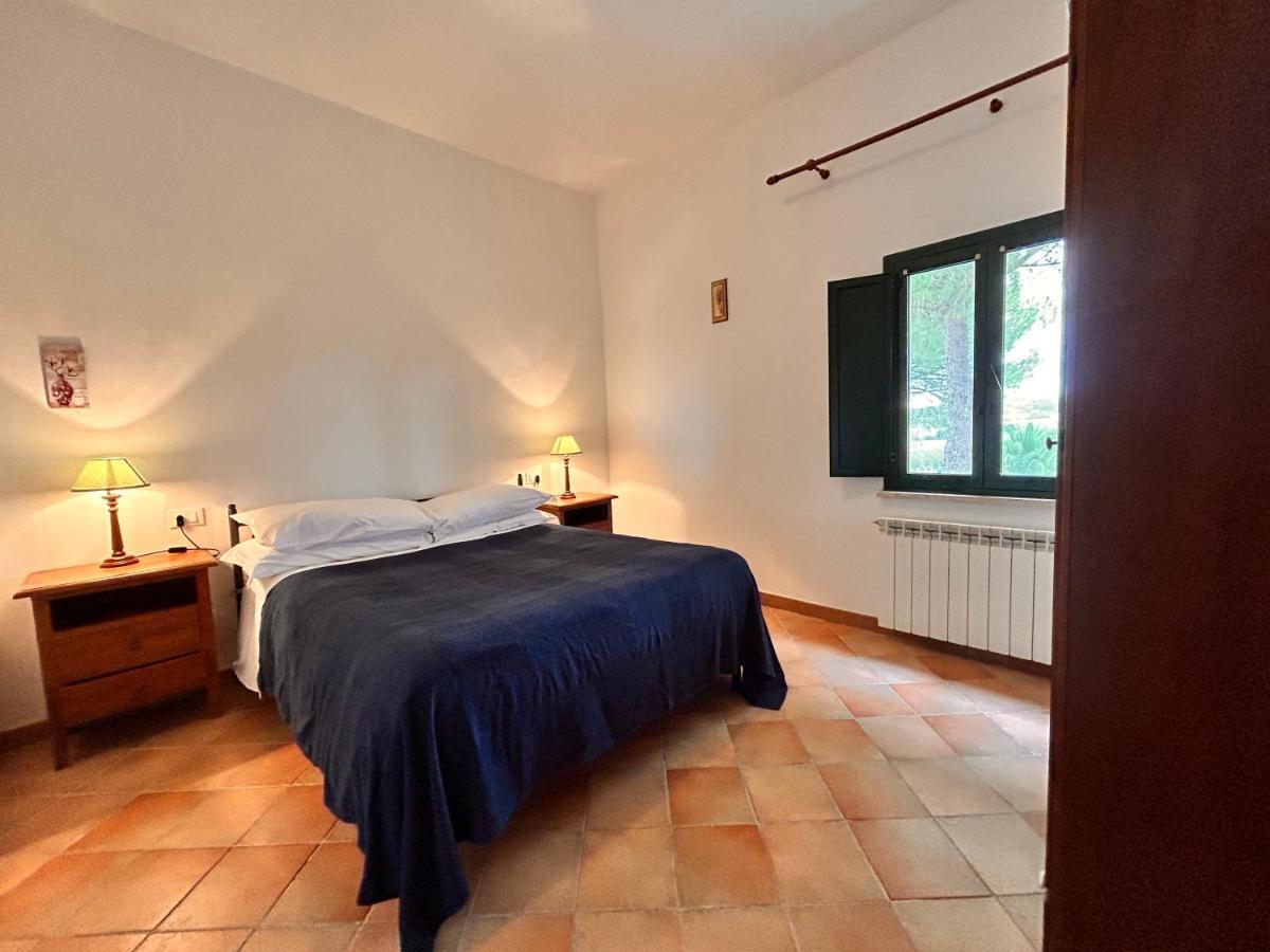 I Girasoli Di Lari - Appartamento Indipendente 2 Camere Da Letto Rivoli  Exterior foto